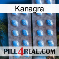 Kanagra viagra4